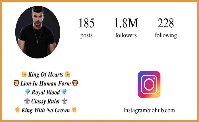 instagram bio for boys attitude stylish